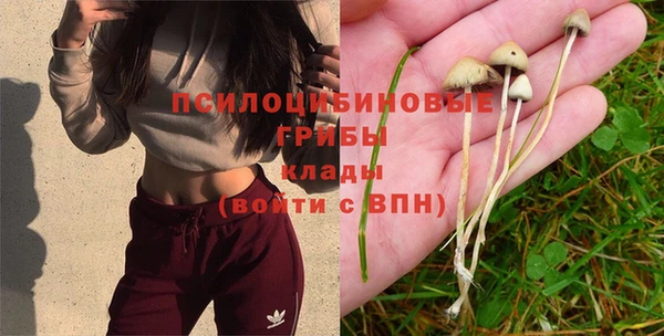 спайс Алзамай