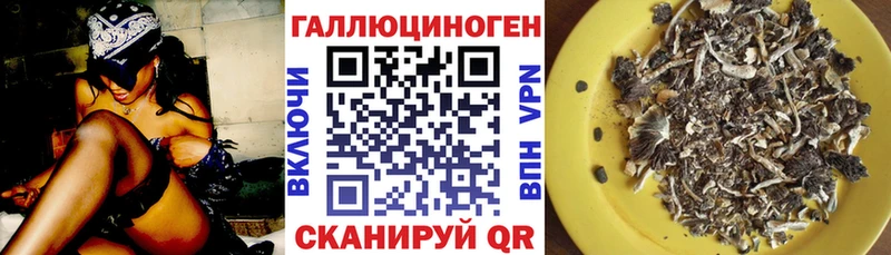 MEGA сайт  Котельники  Галлюциногенные грибы мицелий 