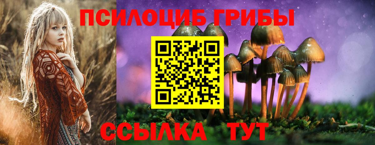 Галлюциногенные грибы прущие грибы  купить наркотик  Котельники  Вход с VPN  Галлюциногенные грибы Psilocybine cubensis 