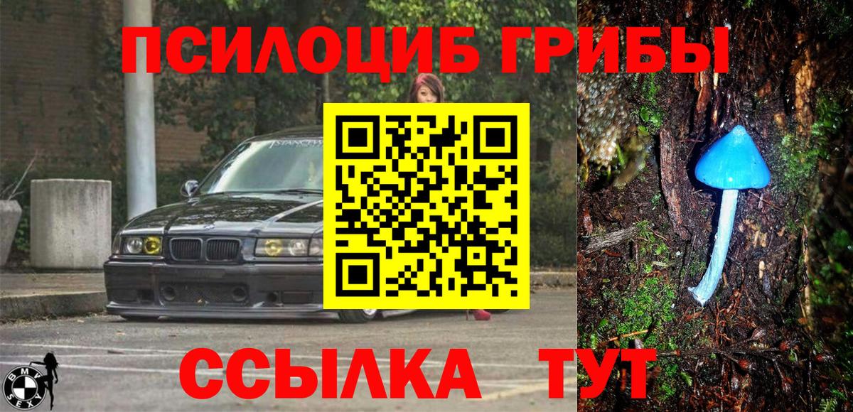 Псилоцибиновые грибы мухоморы Котельники